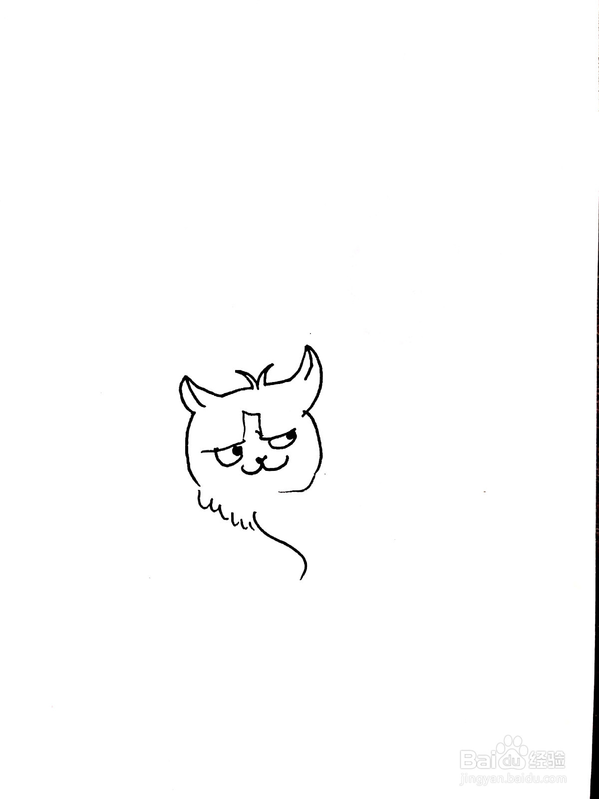 狸猫线描画怎么画