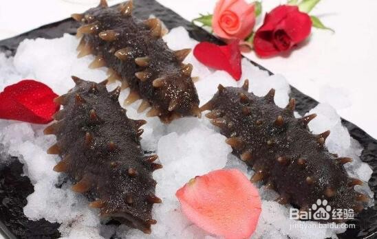 海参真假怎么辨别