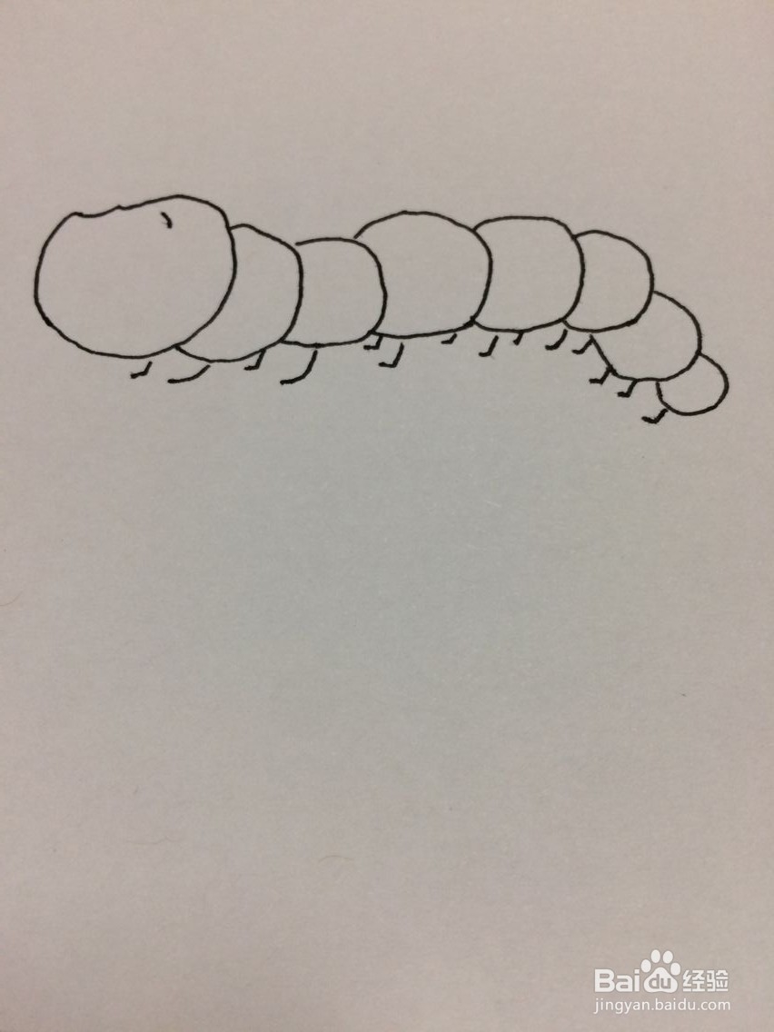 画毛毛虫的方法