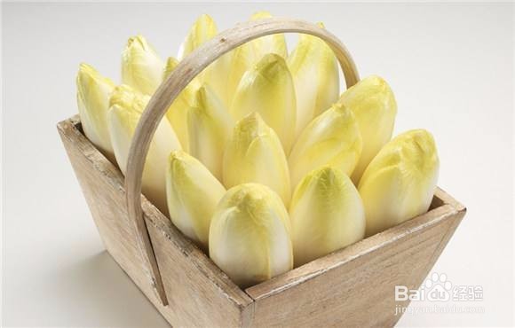 菊苣栀子茶适合的人群有哪些?