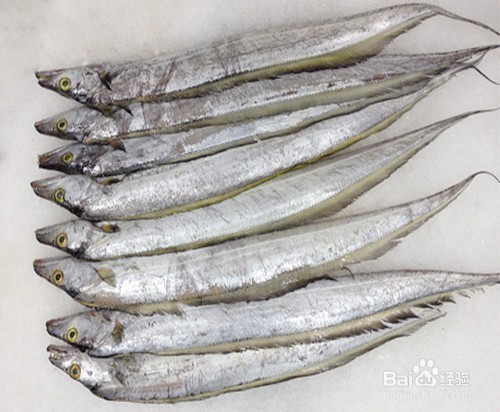 教你挑选好带鱼