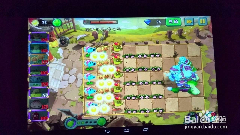 植物大战僵尸2功夫世界第29、16天攻略