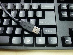 摄像头怎么连接电脑