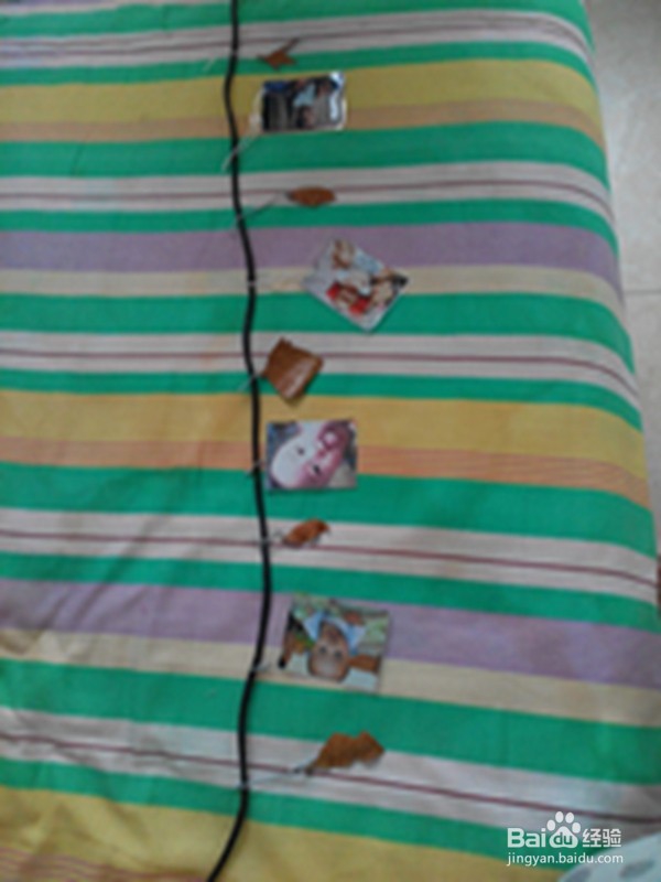 旧皮包改造——系列作品