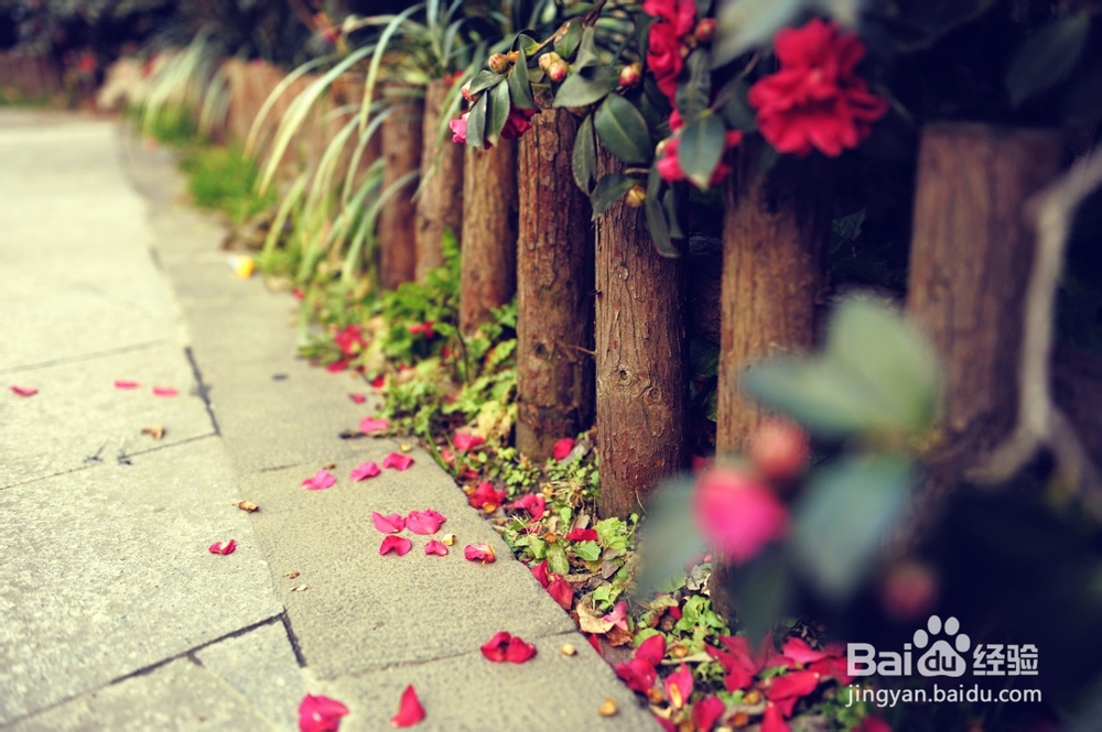 面对选择的犹豫怎么办?