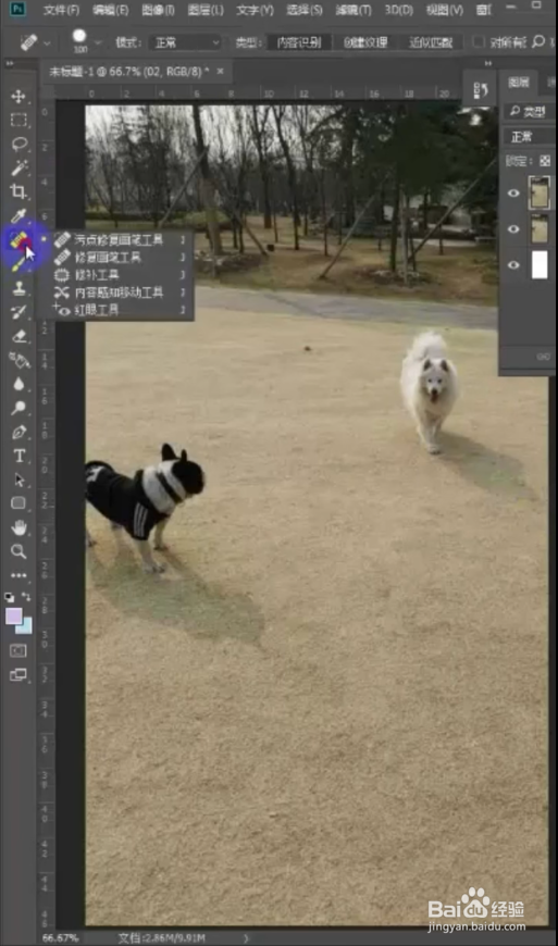 PS污点修复工具去除狗狗