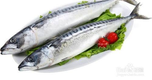 鲭鱼的营养价值及功效 百度经验