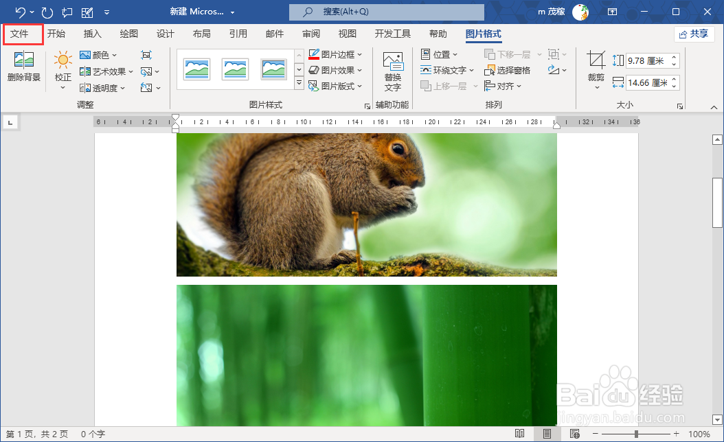 word2021自动压缩插入的图片