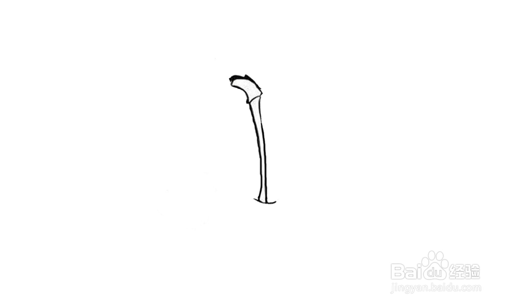 如何画一个小樱桃