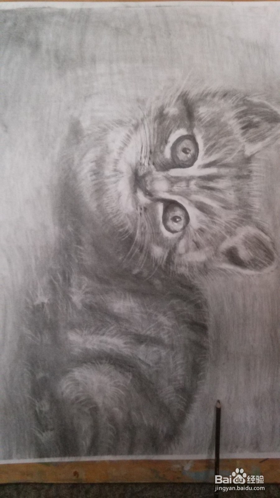 艺术水粉静物、色彩、素描动物画法