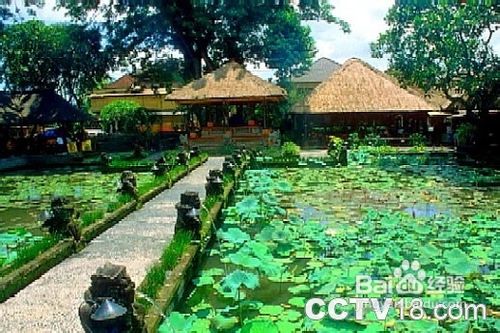 巴厘岛高端品质（可可西厘）五天团