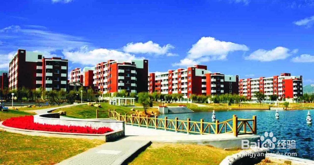 【校园指南】山东科技大学军训篇