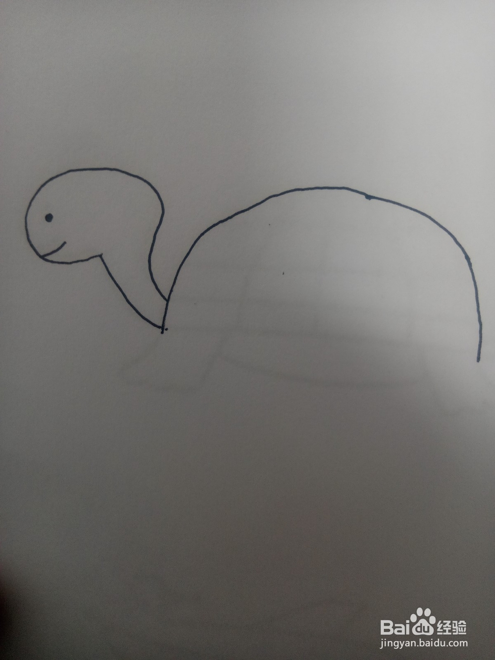 小乌龟简笔画教程