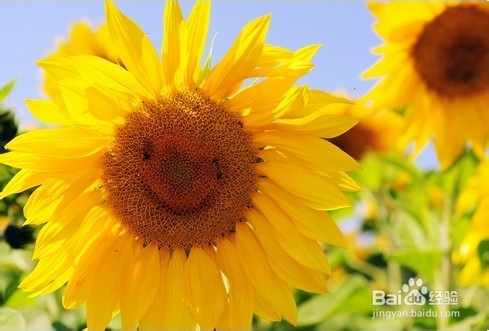 微笑给生活带来了什么