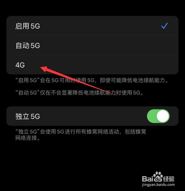 苹果12怎么把5g改成4g