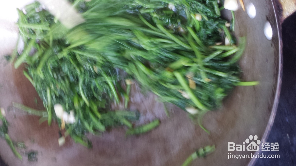 家常小菜：[9]青炒茼蒿
