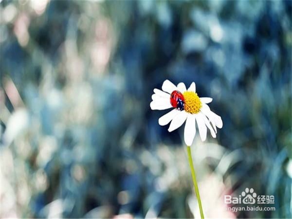 如何化解生活中的尴尬