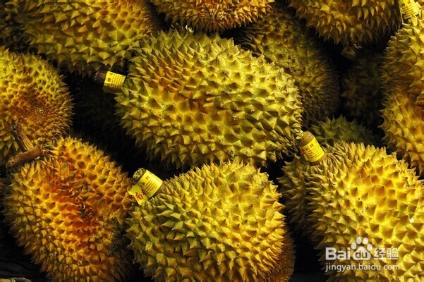 怎么挑新鲜水果——怎么挑榴莲