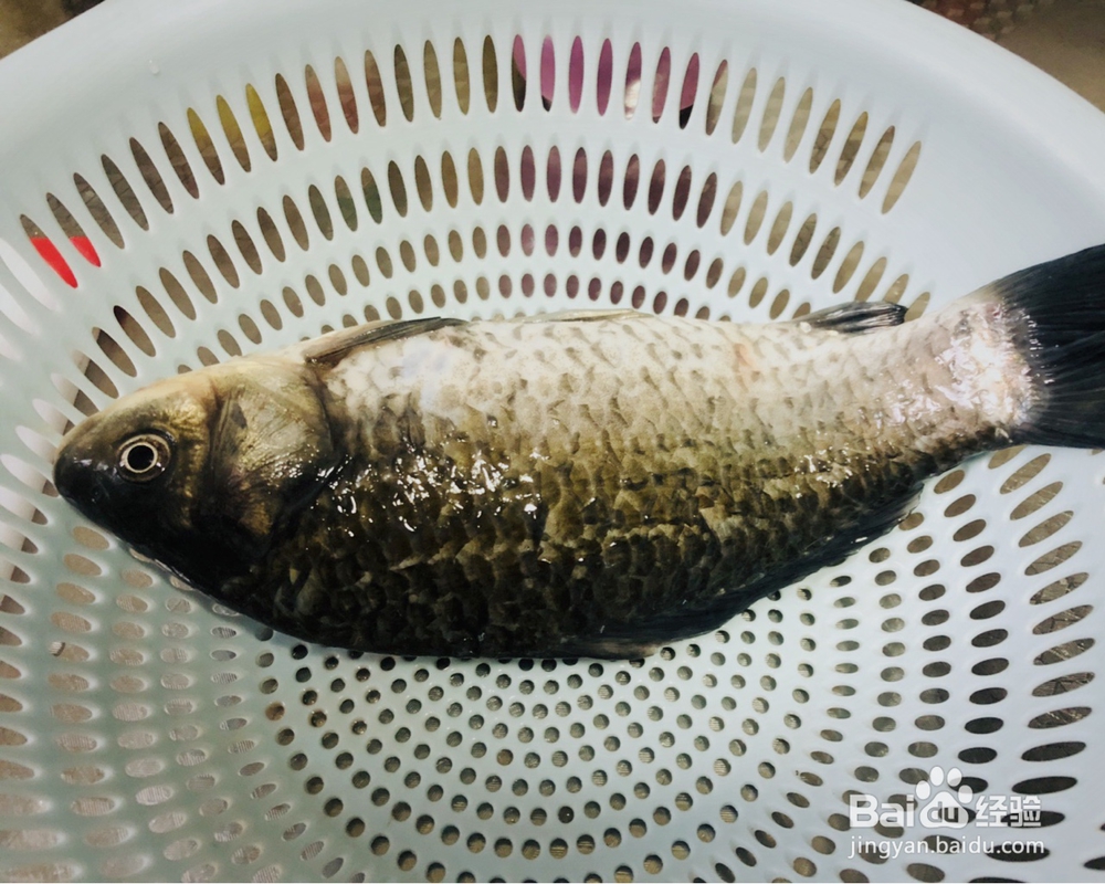 怎么做红烧鲫鱼？