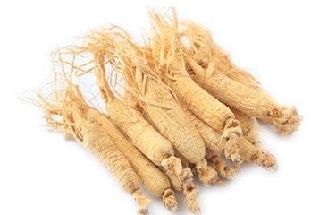 虚不受补如何补气