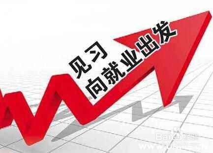 关于就业见习政策的解读