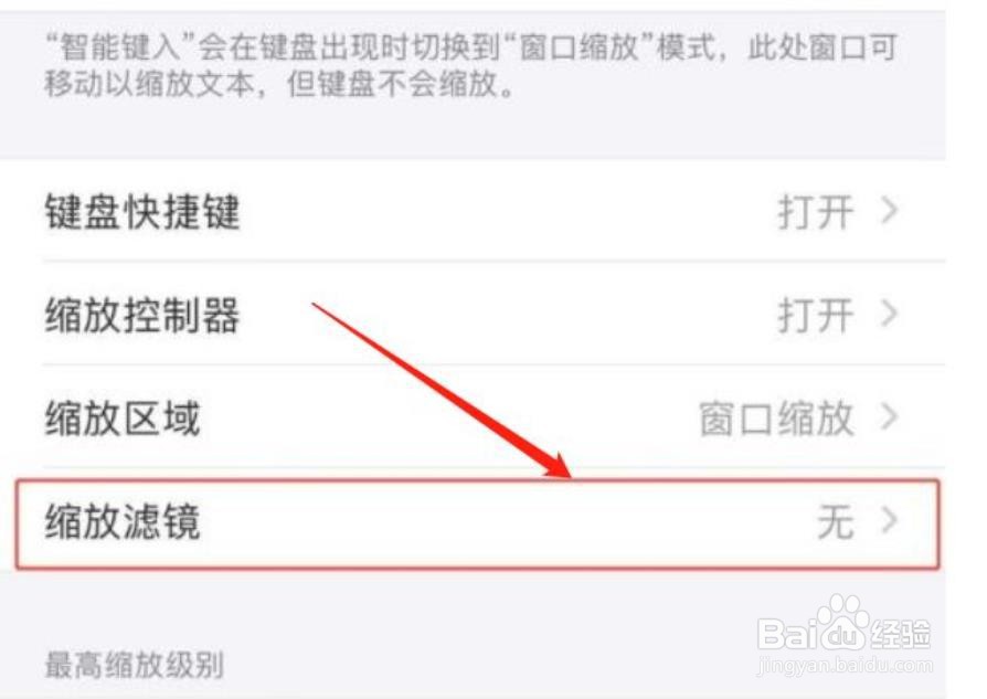 苹果手机怎么设置缩放滤镜反转功能