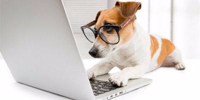 无基础如何学习策划