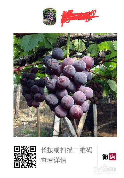 如何将二维码放大后保持高清