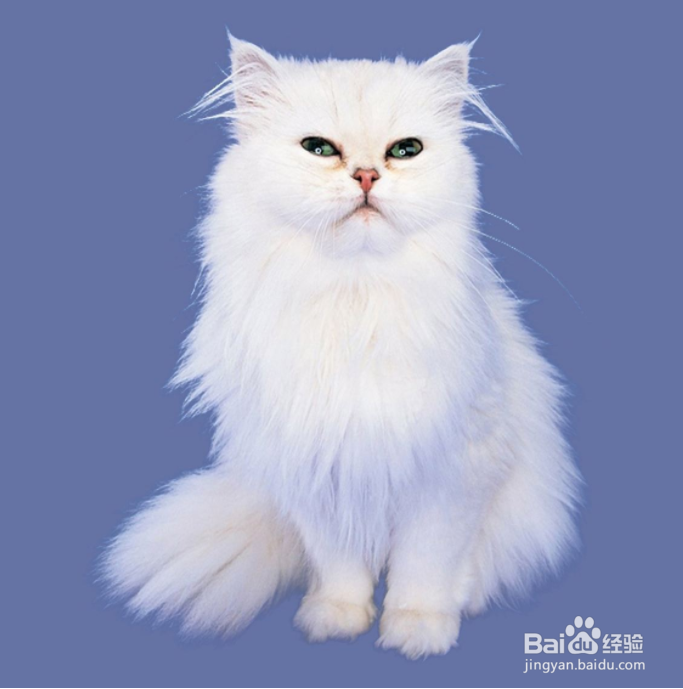 没有PS怎么快速扣图