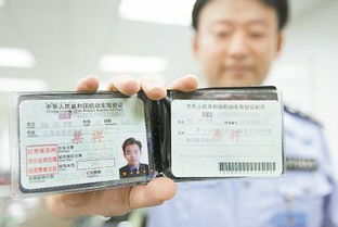 驾驶员交通违章记分的种类有哪些？