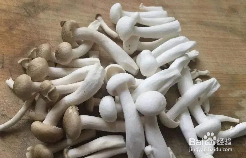 立春吃荠菜的做法