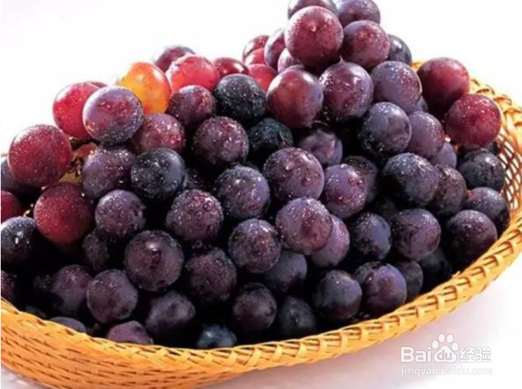 自制葡萄酒家庭版教程