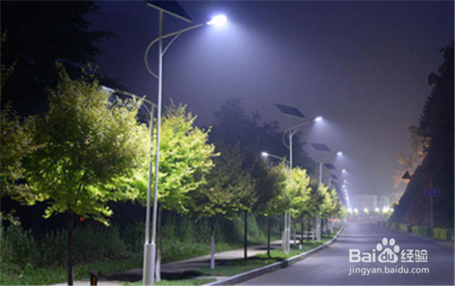 夏天灯光下的小虫子怎么处理