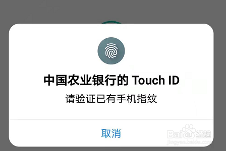 怎么查看农业银行开户行？