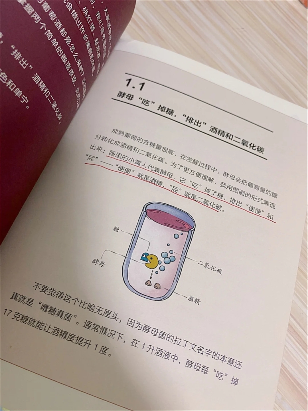 这几本书让你下了飞机还想看