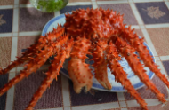帝王蟹怎么做好吃