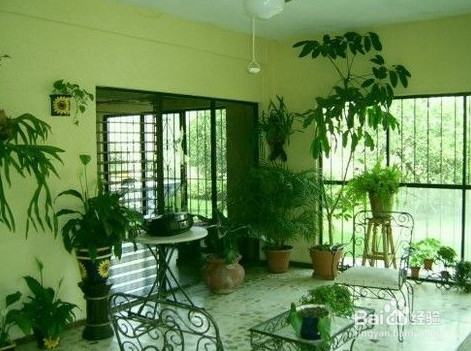 如何赶走室内雾霾