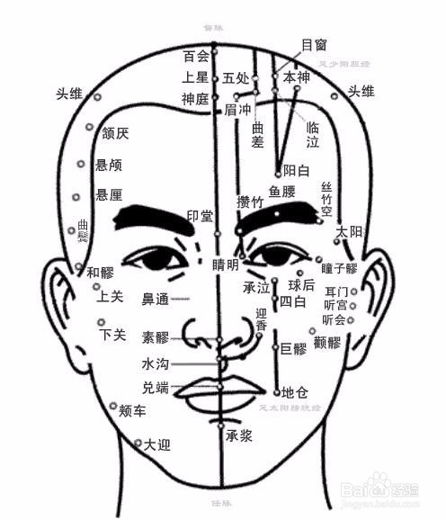 身体各部分针刺手法操作技巧