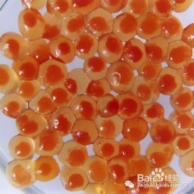 手机摄影后期应用：[25]vsco山寨日系淡彩