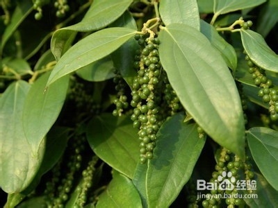 冬季冻疮怎么治更有效