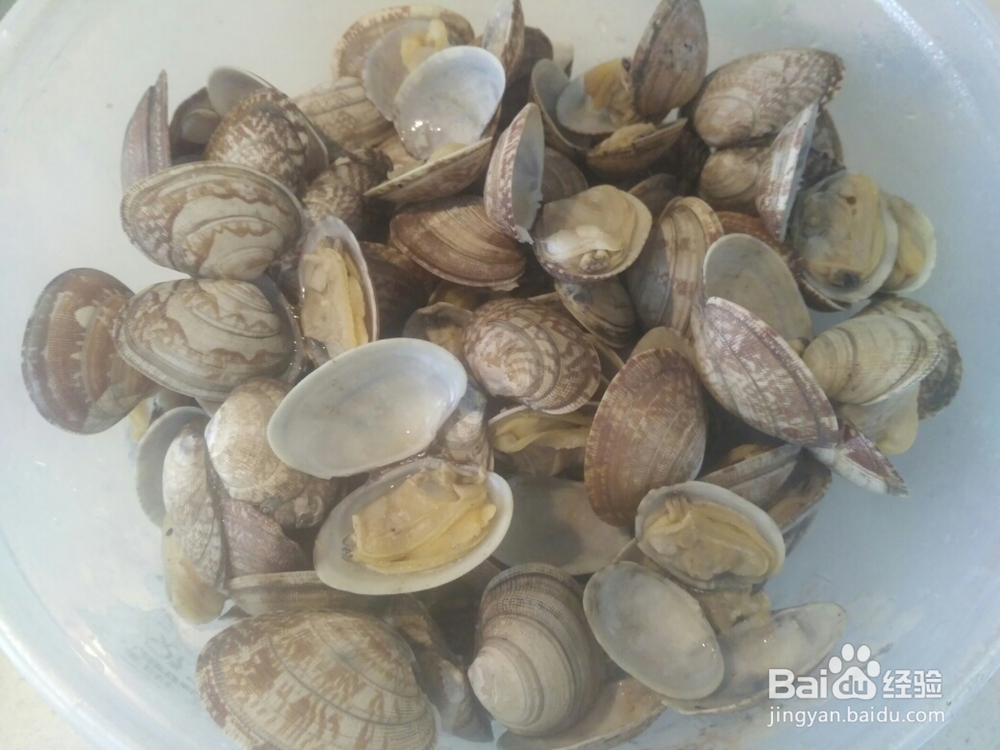 怎么吃都不腻的香辣花蛤