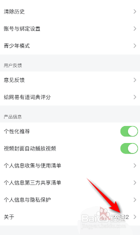 网易有道词典版本号是如何查看的