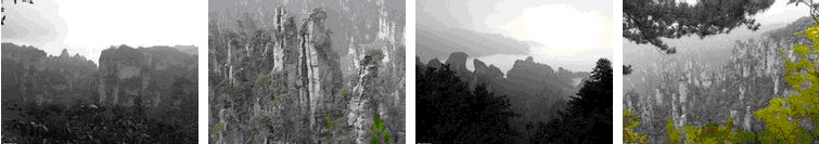 参团游到张家界自助游需注意的地方