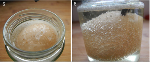 每天一勺醋蛋液远离化妆品【醋泡鸡蛋】