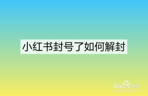 小红书封号了如何解封