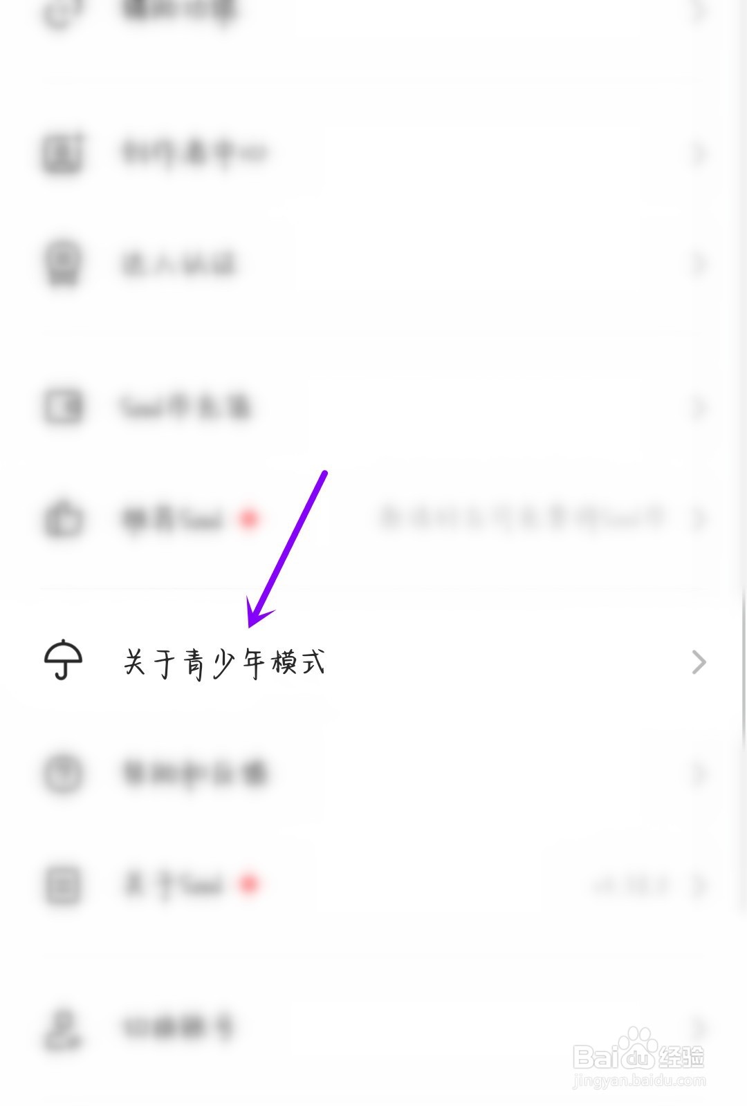 Soul怎么进入青少年模式
