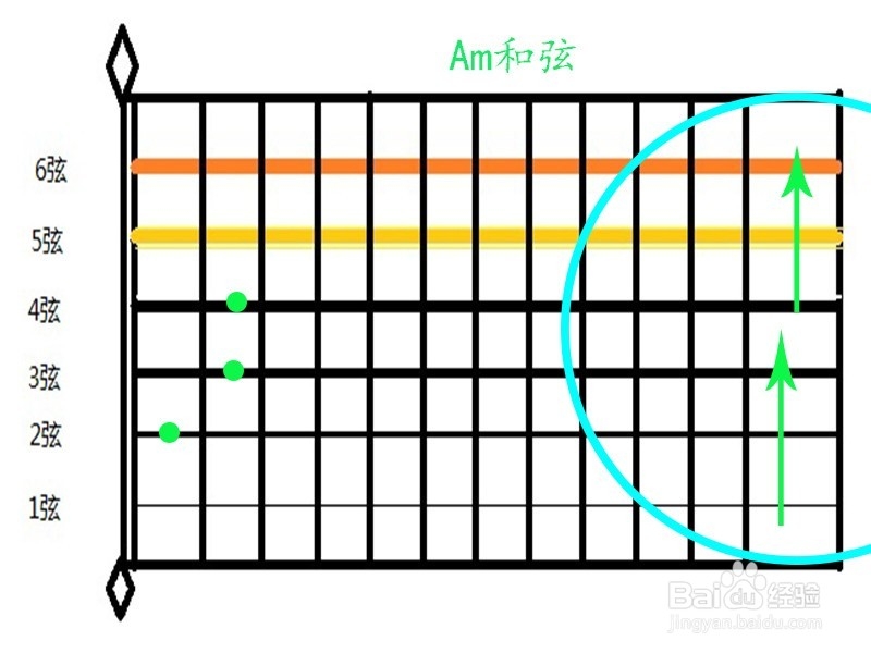 简单的《兰花草》吉他拨弦如何弹奏？