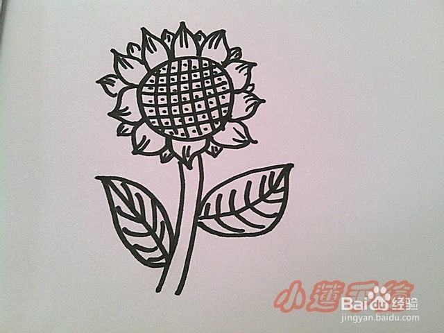 油画棒植物篇3向日葵