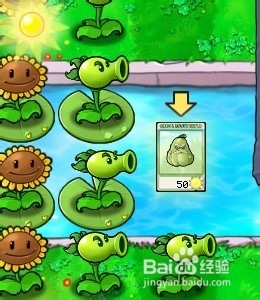 植物大战僵尸快速通关游戏攻略：[32]3-1.2