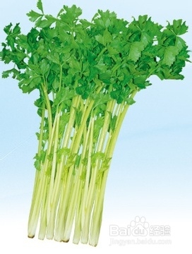 什么食物让你的牙齿更健康